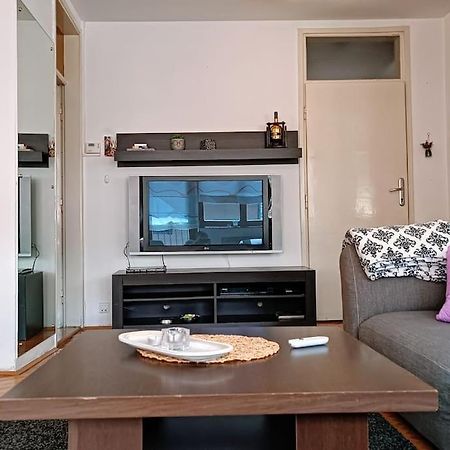 Spacious Condo Near Bascarsija - Free Parking Σαράγεβο Εξωτερικό φωτογραφία