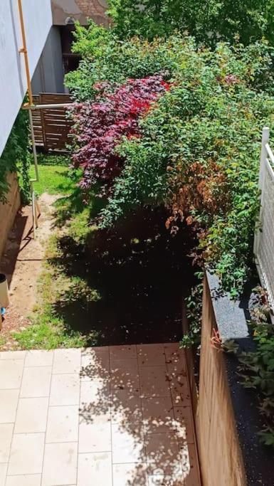 Spacious Condo Near Bascarsija - Free Parking Σαράγεβο Εξωτερικό φωτογραφία