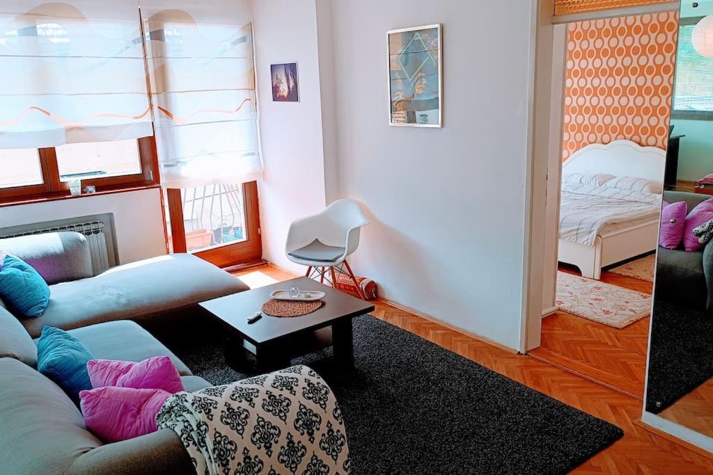 Spacious Condo Near Bascarsija - Free Parking Σαράγεβο Εξωτερικό φωτογραφία
